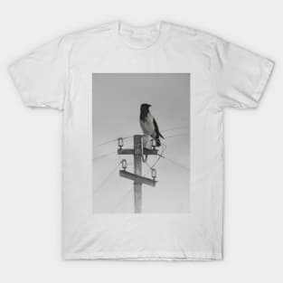 Hooded crow T-Shirt